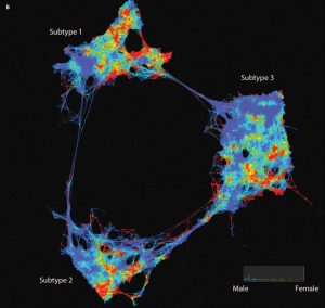 Abb. 2: Identifikation von Subgruppen des Typ-2-Diabetes mit Hilfe von Big-Analysen.